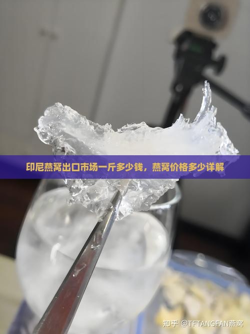 印尼燕窝出口市场一斤多少钱，燕窝价格多少详解