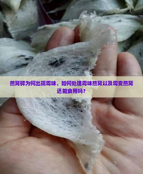 燕窝碎为何出现霉味、如何处理霉味燕窝以及霉变燕窝还能食用吗？