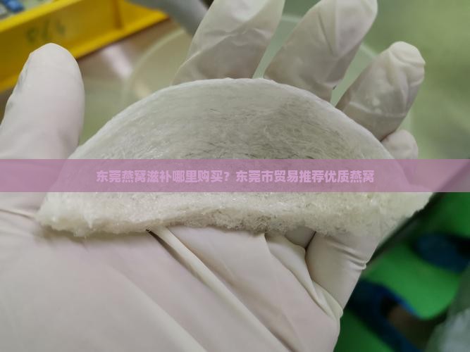 东莞燕窝滋补哪里购买？东莞市贸易推荐优质燕窝