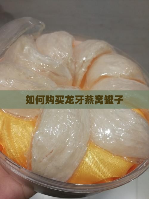 如何购买龙牙燕窝罐子