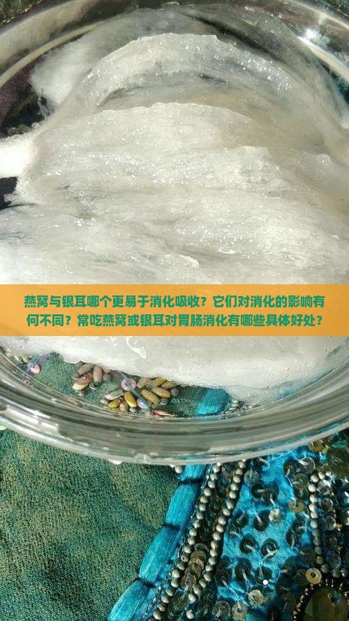 燕窝与银耳哪个更易于消化吸收？它们对消化的影响有何不同？常吃燕窝或银耳对胃肠消化有哪些具体好处？