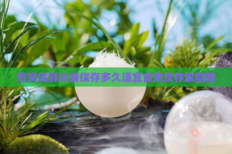燕窝保鲜冰袋保存多久适宜食用及存放期限