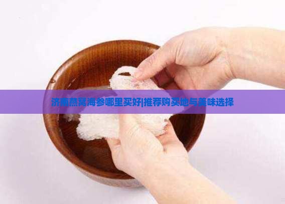 济南燕窝海参哪里买好|推荐购买地与美味选择