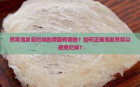 燕窝泡发后烂掉的原因有哪些？如何正确泡发燕窝以避免烂掉？