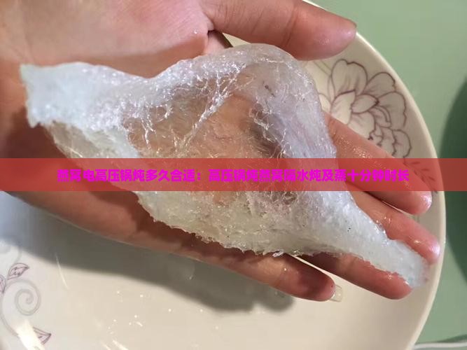 燕窝电高压锅炖多久合适：高压锅炖燕窝隔水炖及蒸十分钟时长
