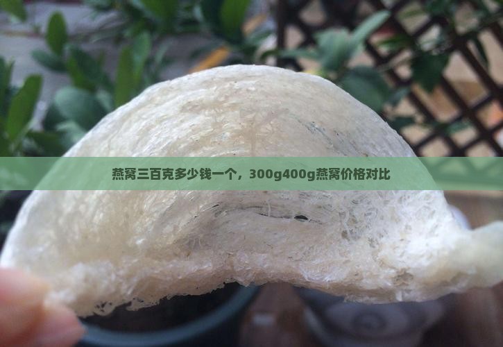 燕窝三百克多少钱一个，300g400g燕窝价格对比