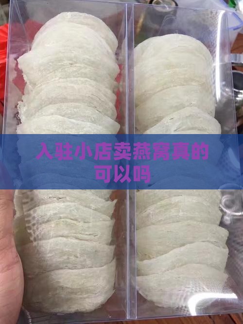 入驻小店卖燕窝真的可以吗