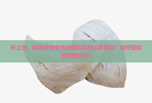 在上海，哪些店铺或市场能购买到优质燕窝？如何鉴别燕窝的好坏？