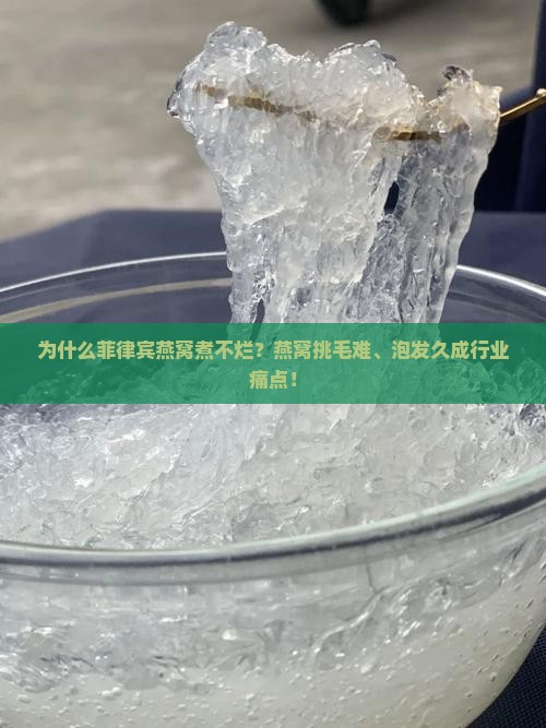 为什么菲律宾燕窝煮不烂？燕窝挑毛难、泡发久成行业痛点！