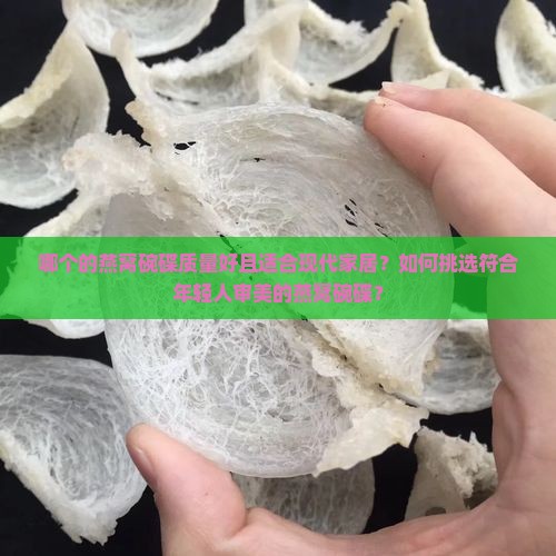 哪个的燕窝碗碟质量好且适合现代家居？如何挑选符合年轻人审美的燕窝碗碟？