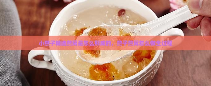 小燕子精选燕窝是怎么形成的，燕子燕窝怎么做全过程