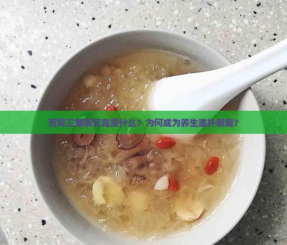 燕窝三角条究竟是什么？为何成为养生滋补新宠？