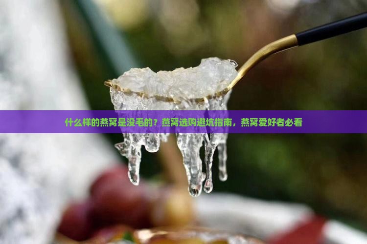 什么样的燕窝是没毛的？燕窝选购避坑指南，燕窝爱好者必看