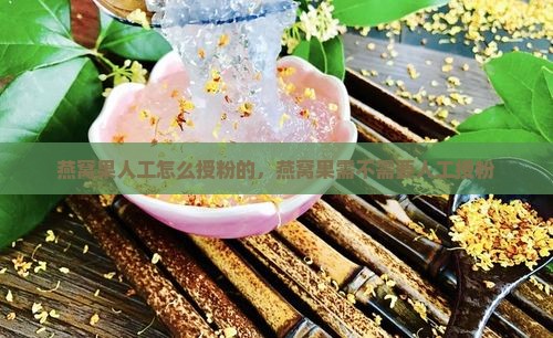 燕窝果人工怎么授粉的，燕窝果需不需要人工授粉