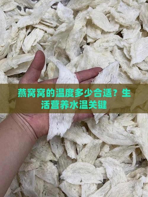 燕窝窝的温度多少合适？生活营养水温关键