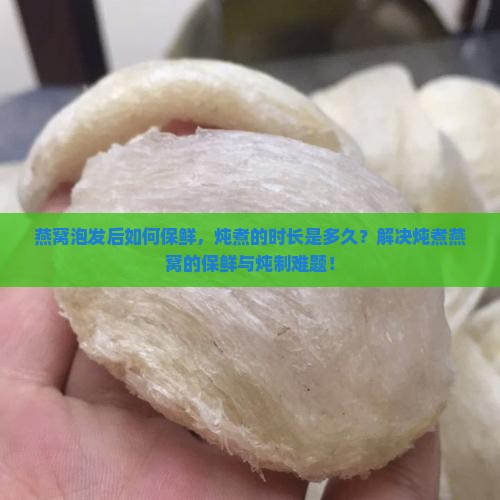 燕窝泡发后如何保鲜，炖煮的时长是多久？解决炖煮燕窝的保鲜与炖制难题！