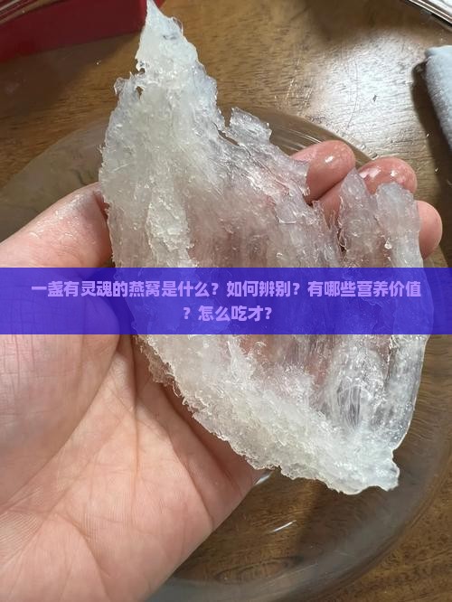 一盏有灵魂的燕窝是什么？如何辨别？有哪些营养价值？怎么吃才？