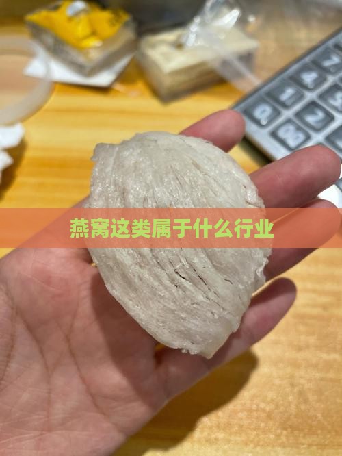 燕窝这类属于什么行业