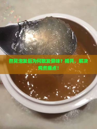 燕窝泡发后为何散发异味？揭开，解决炖煮痛点！