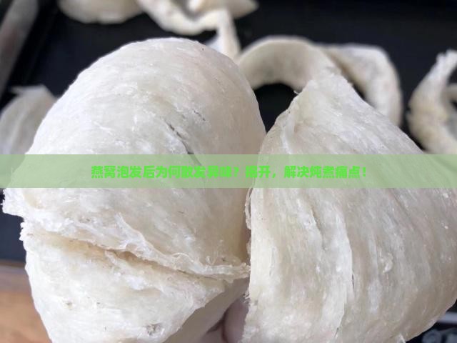 燕窝泡发后为何散发异味？揭开，解决炖煮痛点！