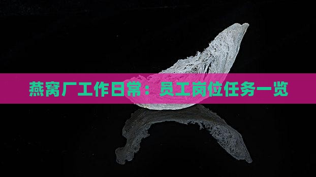 燕窝厂工作日常：员工岗位任务一览