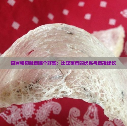 燕窝和燕条选哪个好些：比较两者的优劣与选择建议