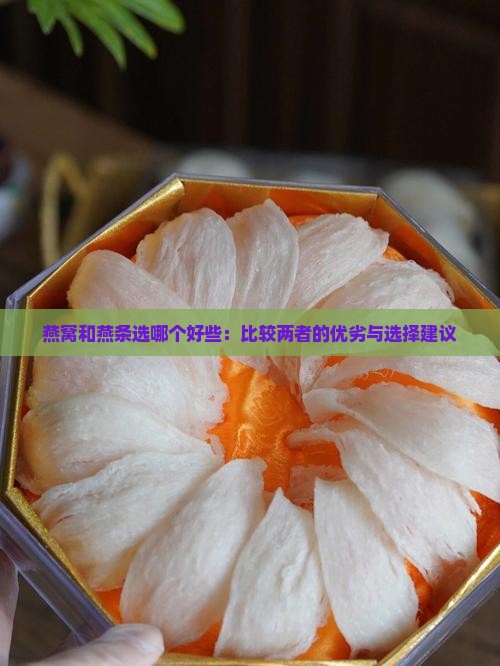 燕窝和燕条选哪个好些：比较两者的优劣与选择建议