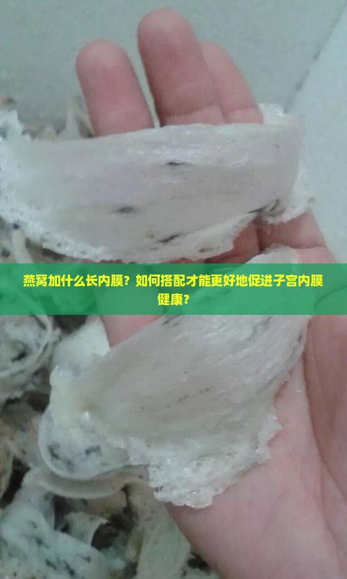 燕窝加什么长内膜？如何搭配才能更好地促进子宫内膜健康？