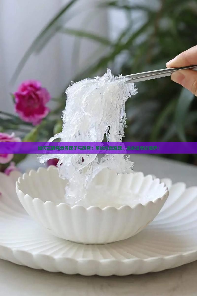 如何正确炖煮雪莲子与燕窝？解决炖煮难题，追求滋养新境界！