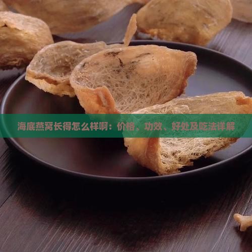 海底燕窝长得怎么样啊：价格、功效、好处及吃法详解