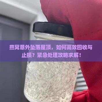 燕窝意外坠落屋顶，如何高效回收与止损？紧急处理攻略求解！