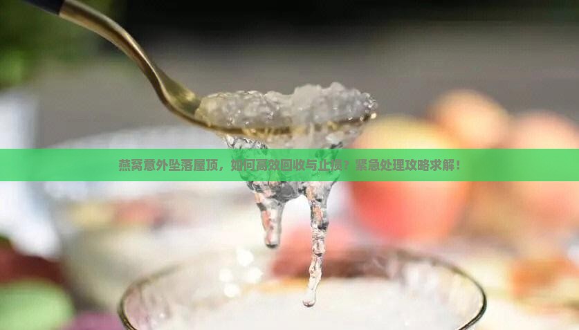 燕窝意外坠落屋顶，如何高效回收与止损？紧急处理攻略求解！