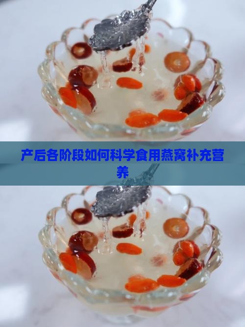 产后各阶段如何科学食用燕窝补充营养