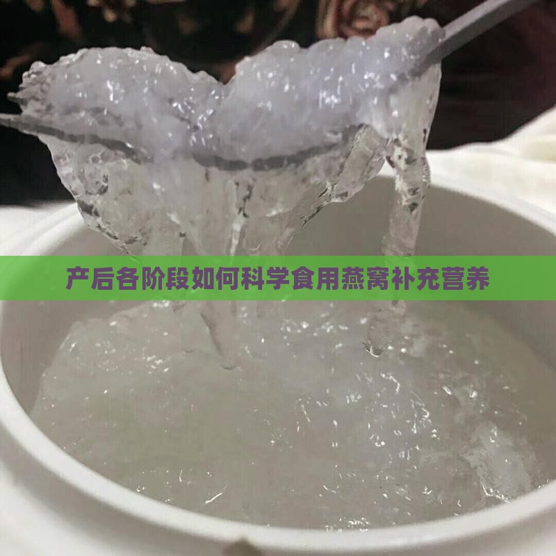 产后各阶段如何科学食用燕窝补充营养