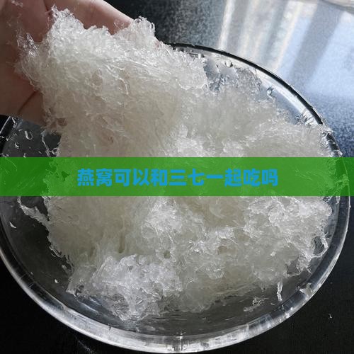 燕窝可以和三七一起吃吗