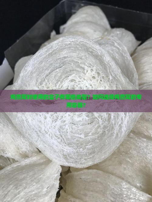 炖燕窝时使用的盒子有哪些类型？如何选择炖燕窝的专用容器？