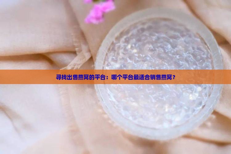 寻找出售燕窝的平台：哪个平台最适合销售燕窝？