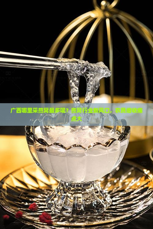 广西哪里采燕窝最多呢？燕窝行业新风口，农民增收痛点大