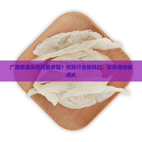 广西哪里采燕窝最多呢？燕窝行业新风口，农民增收痛点大