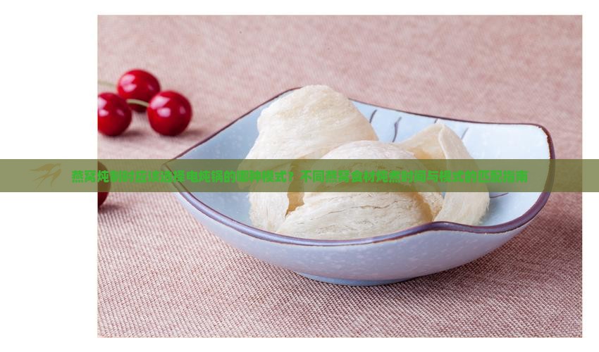 燕窝炖制时应该选择电炖锅的哪种模式？不同燕窝食材炖煮时间与模式的匹配指南