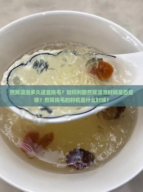 燕窝浸泡多久适宜挑毛？如何判断燕窝浸泡时间是否足够？燕窝挑毛的时机是什么时候？