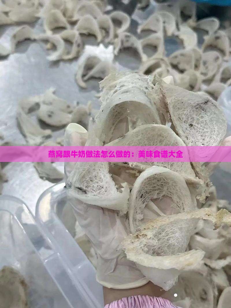 燕窝跟牛奶做法怎么做的：美味食谱大全