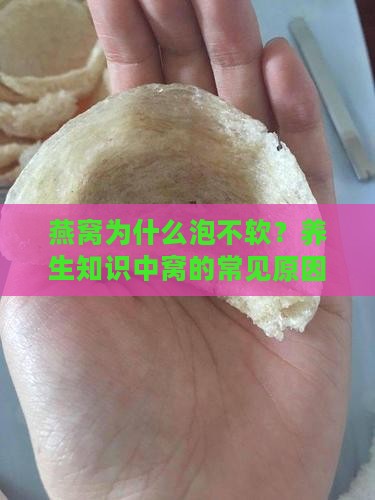 燕窝为什么泡不软？养生知识中窝的常见原因