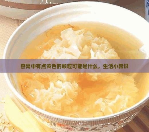 燕窝中有点黄色的颗粒可能是什么，生活小常识