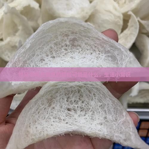 燕窝中有点黄色的颗粒可能是什么，生活小常识