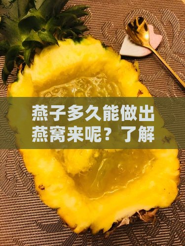 燕子多久能做出燕窝来呢？了解燕窝制作过程