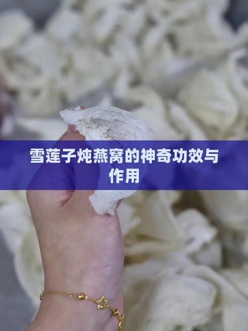 雪莲子炖燕窝的神奇功效与作用