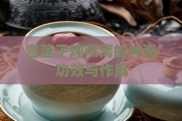 雪莲子炖燕窝的神奇功效与作用