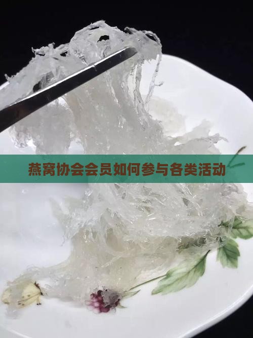 燕窝协会会员如何参与各类活动