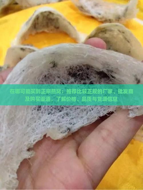 在哪可能买到正宗燕窝：推荐比较正规的厂家、批发商及购买渠道，了解价格、品质与货源信息